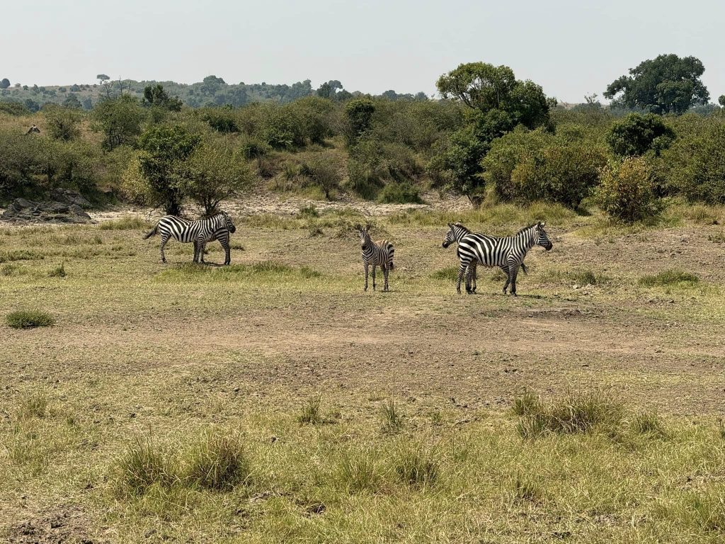 Le Comité National de l&rsquo;UICN Maroc au forum africain de la conservation de la nature. Kenya du 24 au 29 juin 2024
