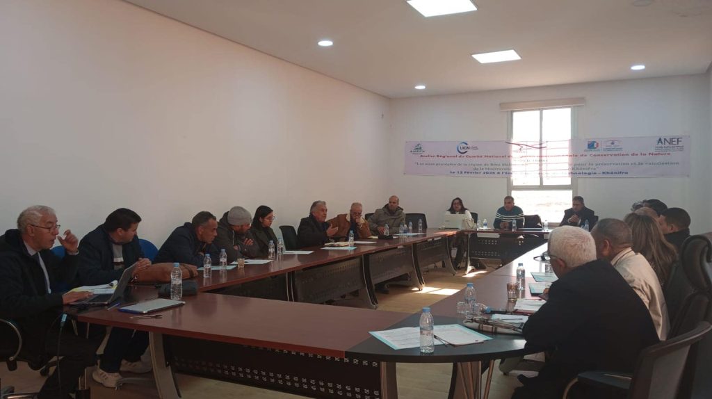 Khénifra accueille le 5ème atelier régional du Comité National de l&rsquo;UICN, le 12 février 2025